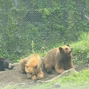 ユーザー